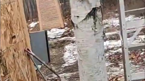 Windmill Durability Test_ Will It Survive the Wind_ Let's See! #homesteading #offgrid #livingoffgrid