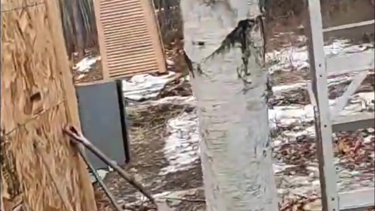 Windmill Durability Test_ Will It Survive the Wind_ Let's See! #homesteading #offgrid #livingoffgrid