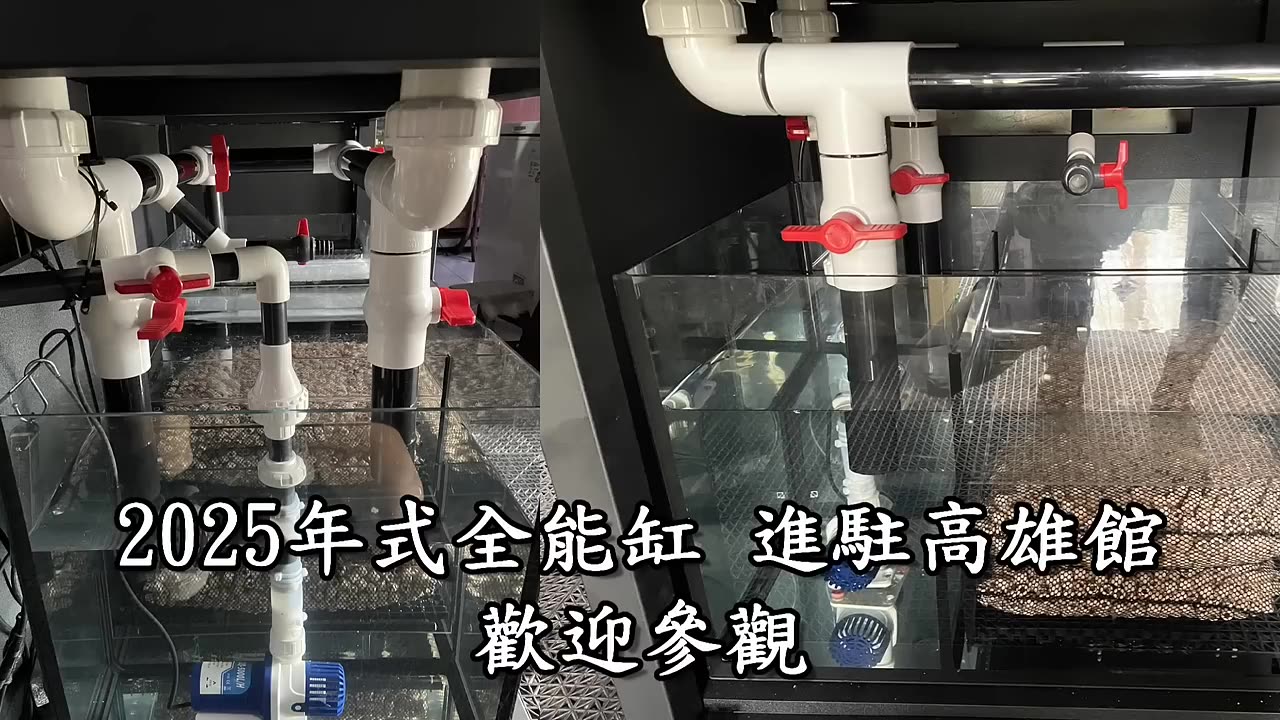 【龍爵士】2025年式全能缸 進駐高雄