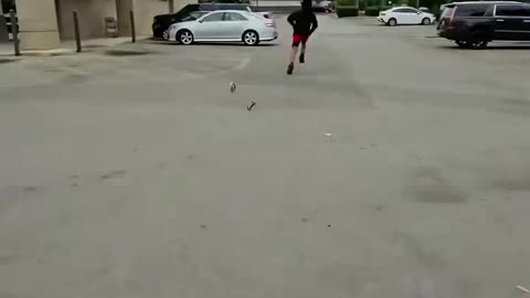 Diversity steal from diversity