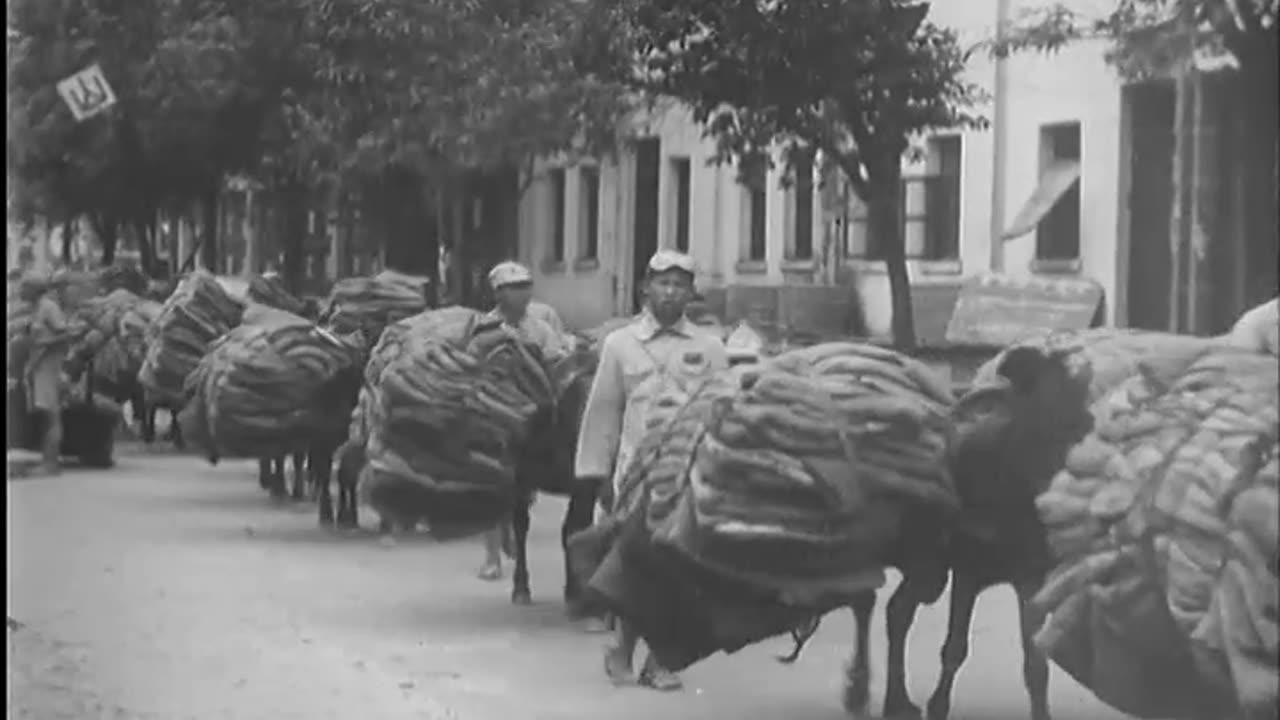 WORLD WAR II IN CHINA - WORLD WAR II IN CHINA - 111-adc-9705