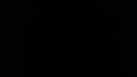 😱🐺 The Most Unsettling Coyote Noises! | TheHauntingHour