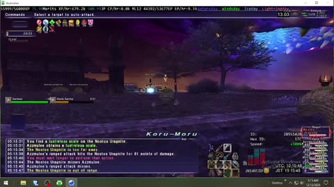 Playing Final Fantasy XI Online