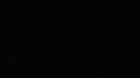 Steve Dangle Sperges After a Maple Leafs Loss