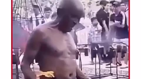 funny videos