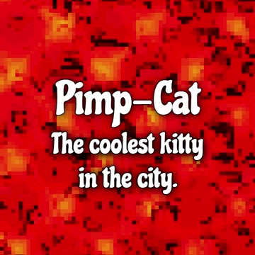 Racism & Bigotry with Pimp-Cat