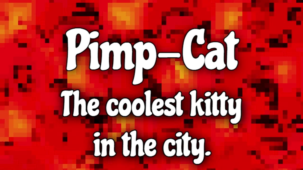 Racism & Bigotry with Pimp-Cat