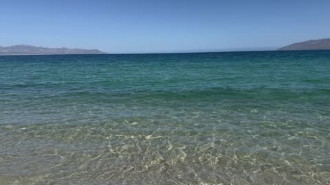 Gut Microbiome, Autism, Thyroid, Brain function, Improve the Gut Microbiome for Health I