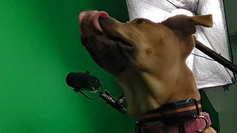 MY DAD SAID NO LICKING- WE CAN BE CLOSE BUT NO LICKING!