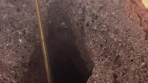 Mini Spoon and Fork for Desserts, Cocktail & Appetizer, Star Adorned Christmas Theme, 2pcs