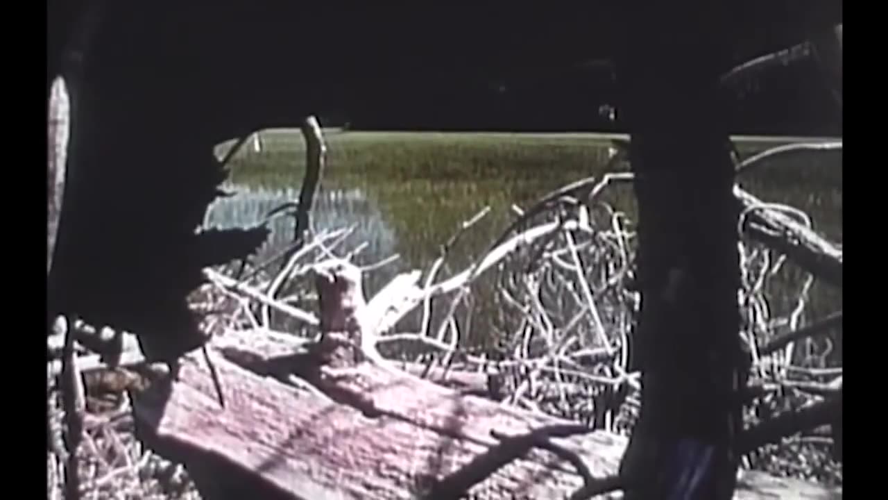 The Legend of Bigfoot