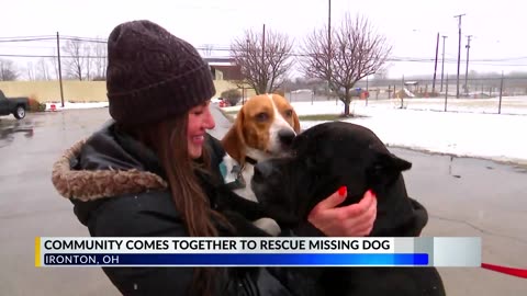 Drone video shows daring dog rescue in Ohio