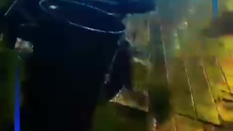 RIÑA EN DISCOTECA MAJESTIC CTG