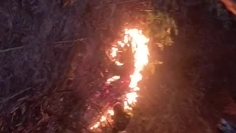 🔥 Evening Fire on the Farm | Controlled Burning of Dry Leaves