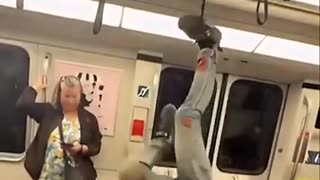 monkey gymnastics on New York's subway