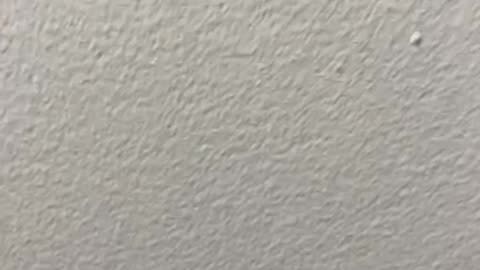 Midnight Christmas Eve Service