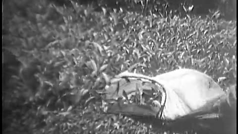 Film No. 523 - Film No. 523 - gov.archives.li.260.uscar.523