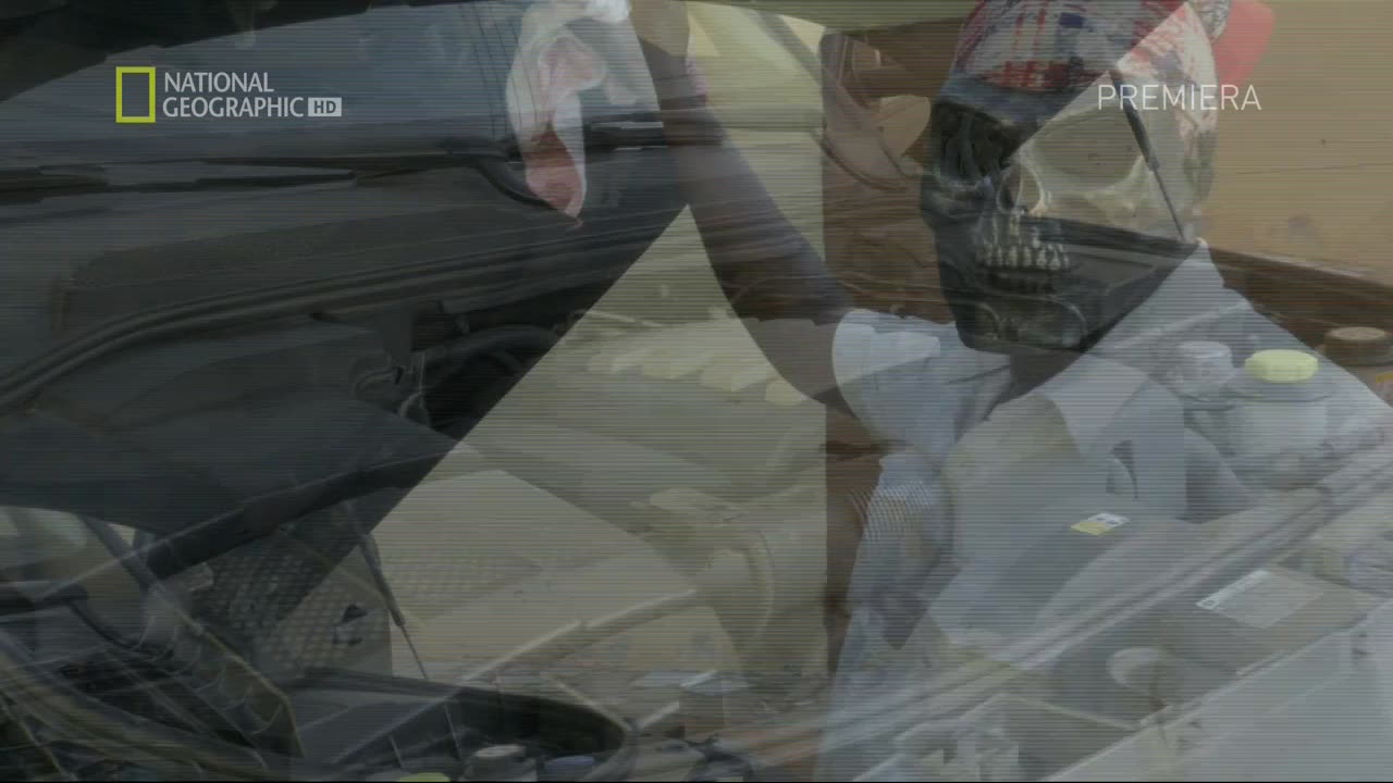 PRZESTĘPCZOŚĆ 8 dokument pl