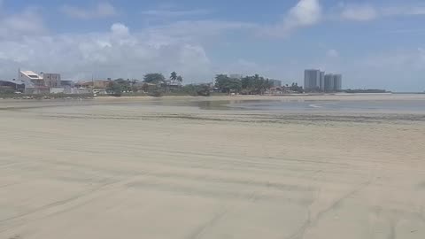 I just write Nature & Animals channel name at sand beach [Nature & Animals]