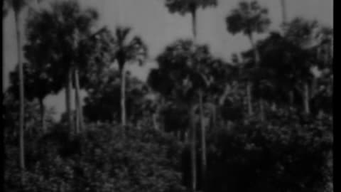 PAN AND CERES IN THE MOVIES - PAN AND CERES IN THE MOVIES - 33-256
