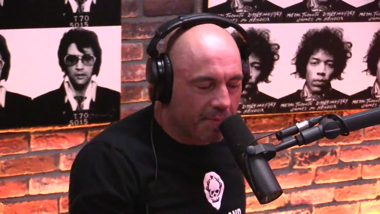 Joe Rogan Experience - Honey Honey (1080p)