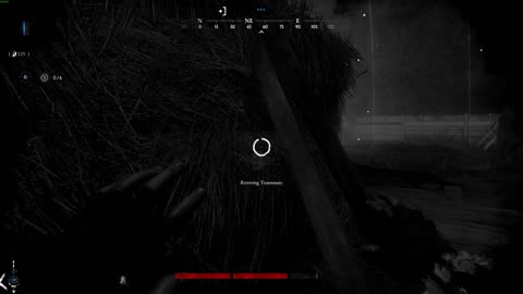 Hunt: Showdown - Crazy Squad Wipe