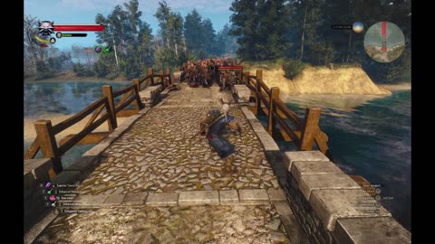 Geralt vs 200 Witcher hunters in witcher 3