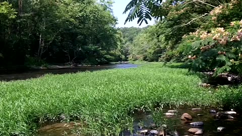 Little River June 22 2012