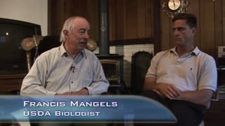 Watch Alex Jones Warn You About The New World Order Years Ago in These Films