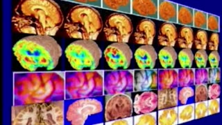 Watch Alex Jones Warn You About The New World Order Years Ago in These Films