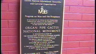 Watch Alex Jones Warn You About The New World Order Years Ago in These Films