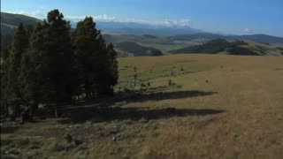 Watch Alex Jones Warn You About The New World Order Years Ago in These Films