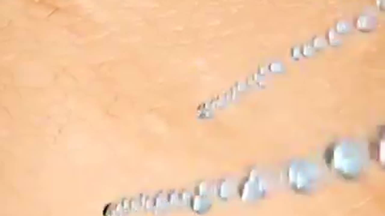 popular video viral video 😎📸