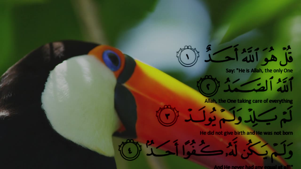 Surah Al Ikhlas Beautiful Recitation (The Sincerity) Qul Hu Allah Hu Ahad