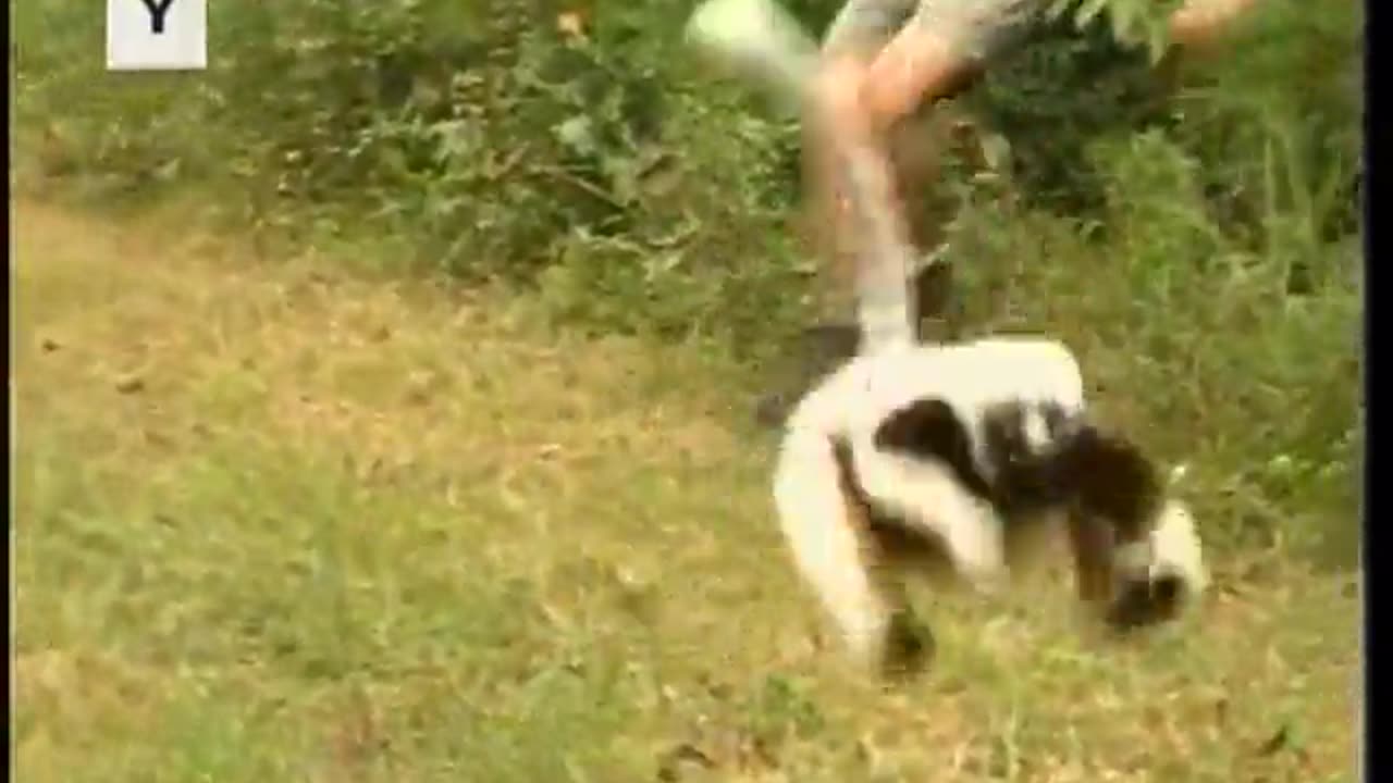 Zoboomafoo WETA September 12, 2001 400pm-429pm EDT