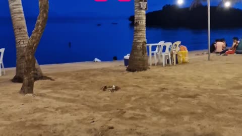 Culture Shock Never Ends in the Philippines: Expat Life