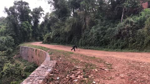 Helping the baby goat🐐cross the street #nepal