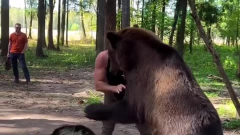 Wrestle with the bear