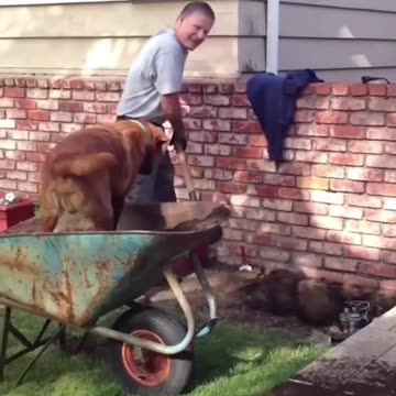 Helping in his own way