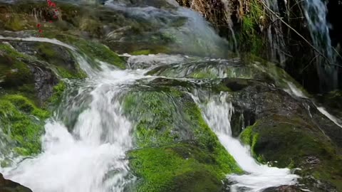 A water fountain sits at your fingertips, nature video 2025 skc.com 10