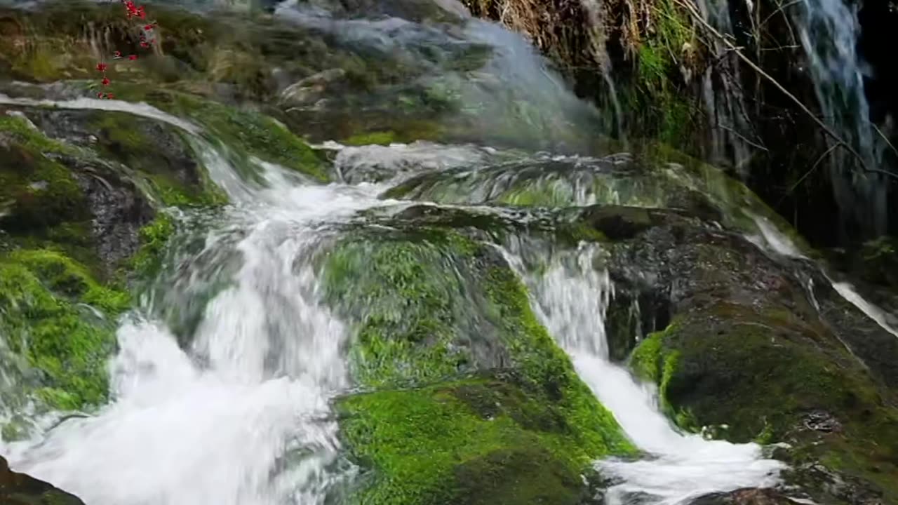 A water fountain sits at your fingertips, nature video 2025 skc.com 10