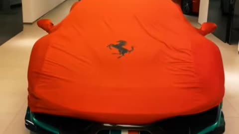 💨🤯 Experience the Thrill of Oman's Luxury Car Showcase! | LuxurySportsCars