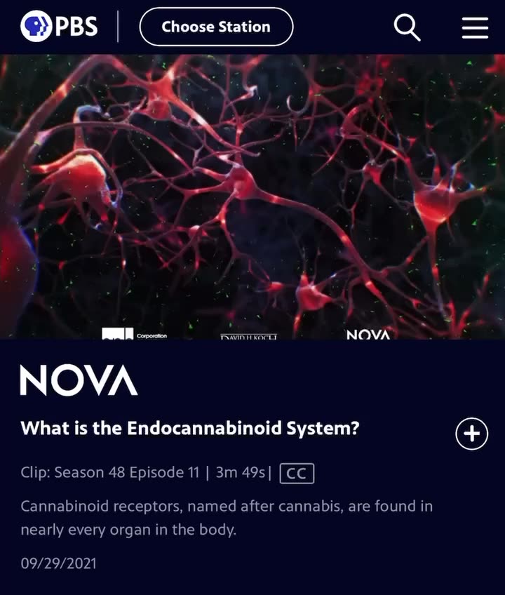 What is the Endocannabinoid System?