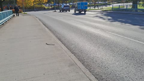 Promenerar I Örebro 10 Okt. 2025