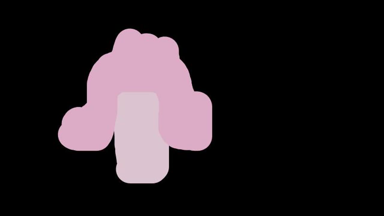 sir pinkerton animation test