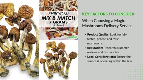 Safe and Secure Magic Mushrooms Delivery: What You Need to Know