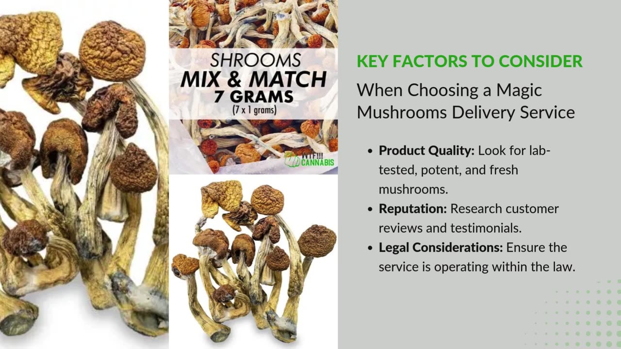 Safe and Secure Magic Mushrooms Delivery: What You Need to Know