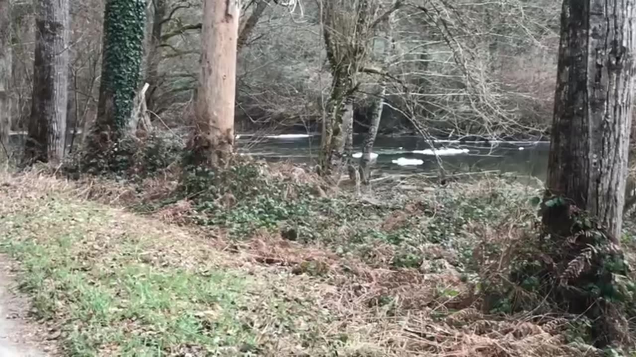 Beneath the Frozen Surface Life Stirs