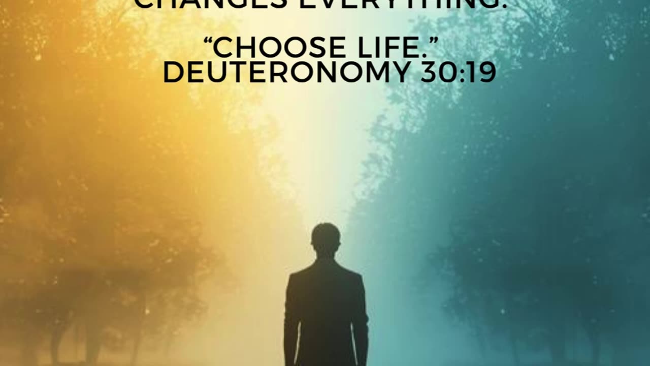 The Power to Choose