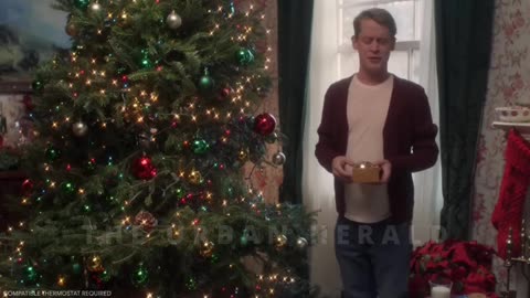 The Home Alone remake nobody expected